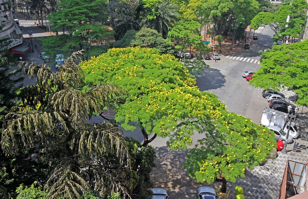 San Raphael Hotel-1